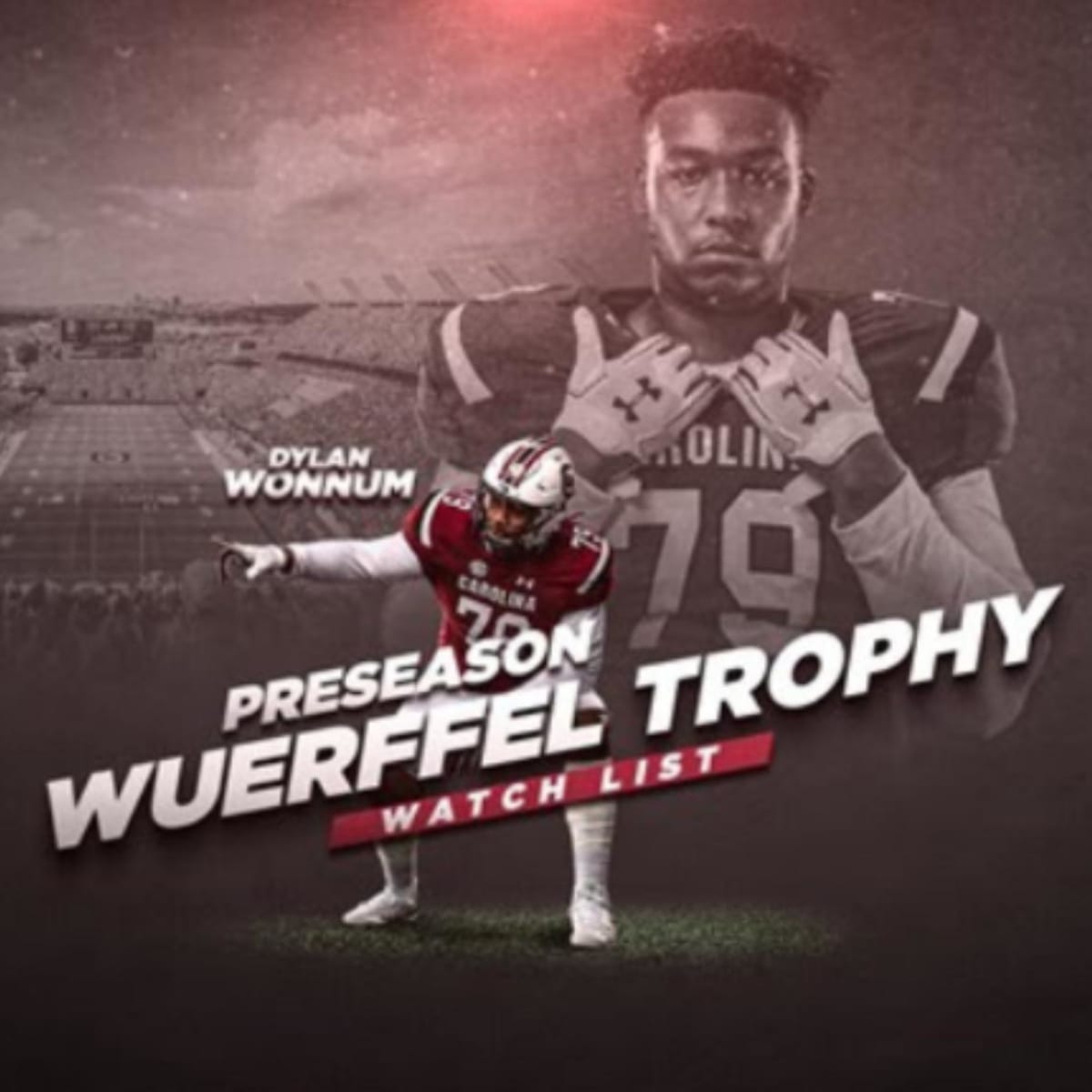 Wonnum Named SEC Defensive Lineman of the Week – University of South  Carolina Athletics