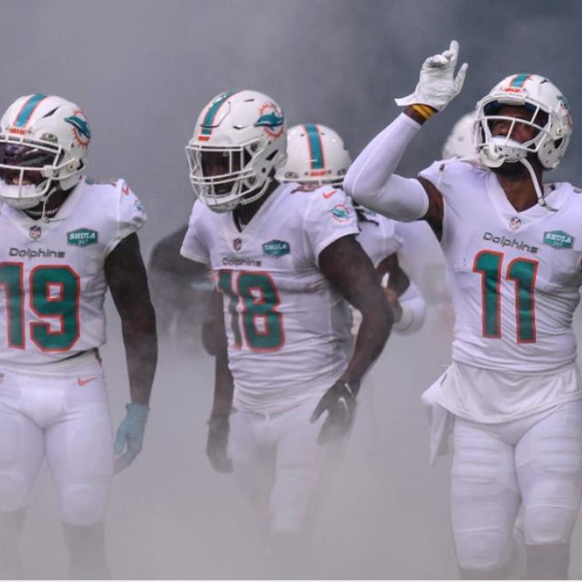 dolphin receivers