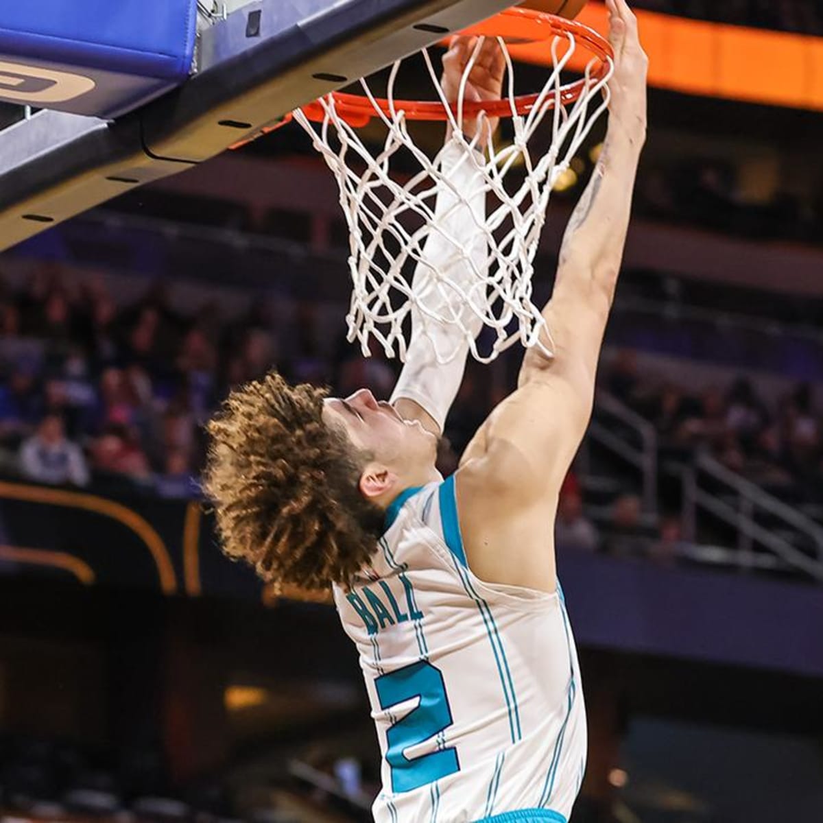 Charlotte Hornets are the NBA's most entertaining team - Sports Illustrated