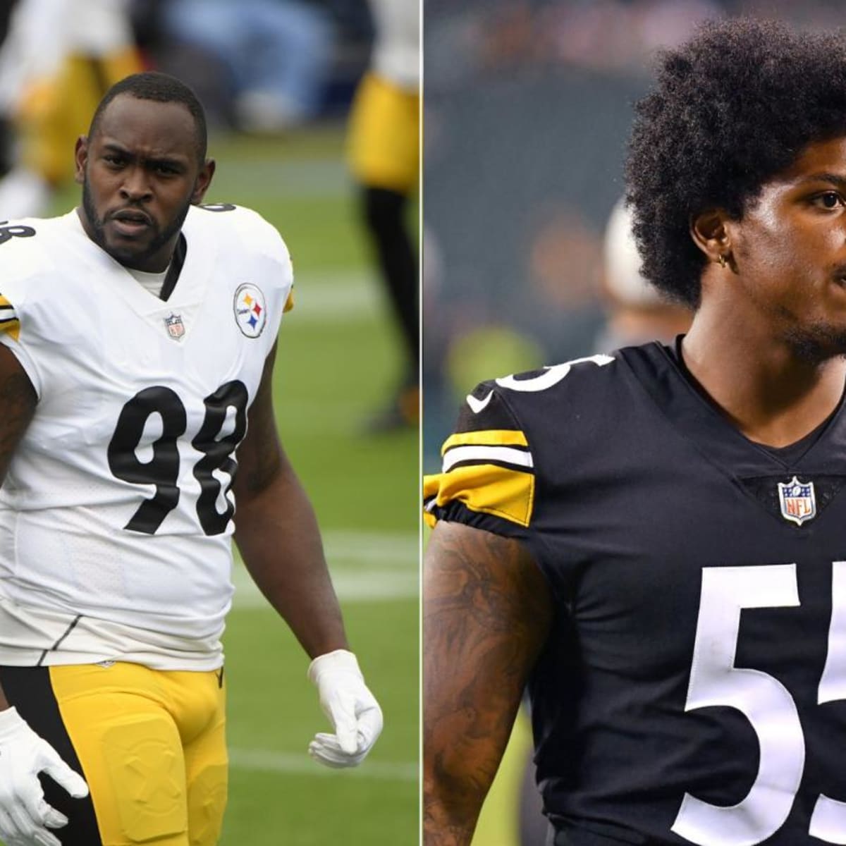 Former Steeler Vince Williams attributes Devin Bush's struggles to