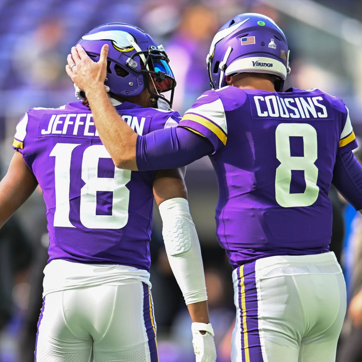 Vikings defeat Bears 29-13, will face Giants in playoffs - InForum