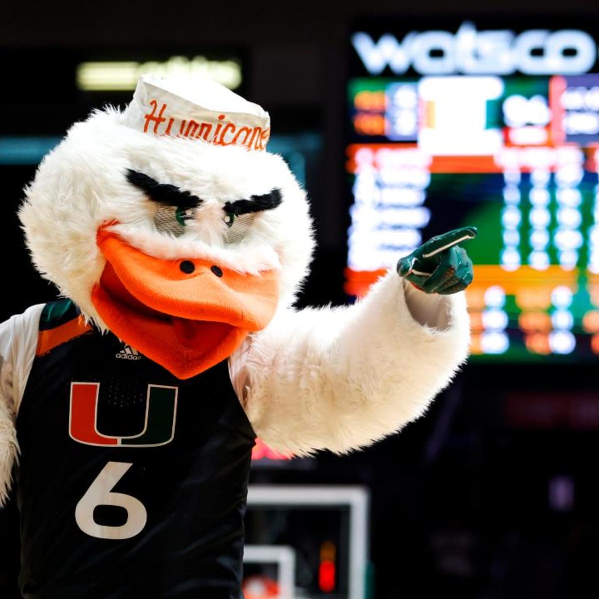 Miami extends Louisville misery by winning ACC opener 80-53 - The San Diego  Union-Tribune