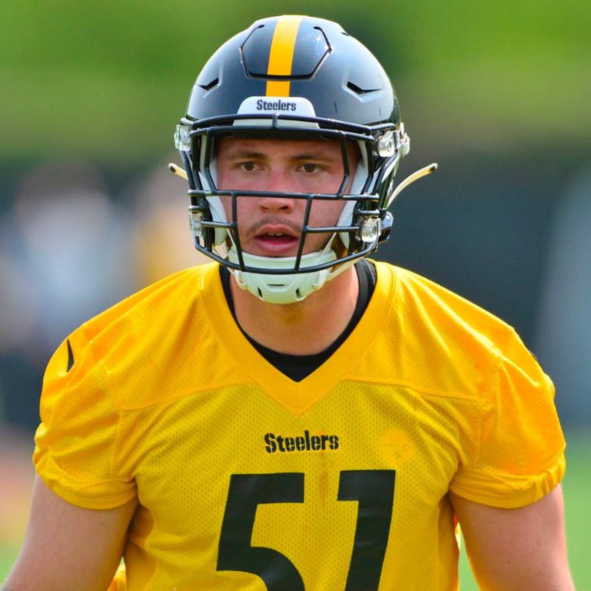 Pittsburgh Steelers Will Give Nick Herbig Shot in Regular Season - Sports  Illustrated Pittsburgh Steelers News, Analysis and More