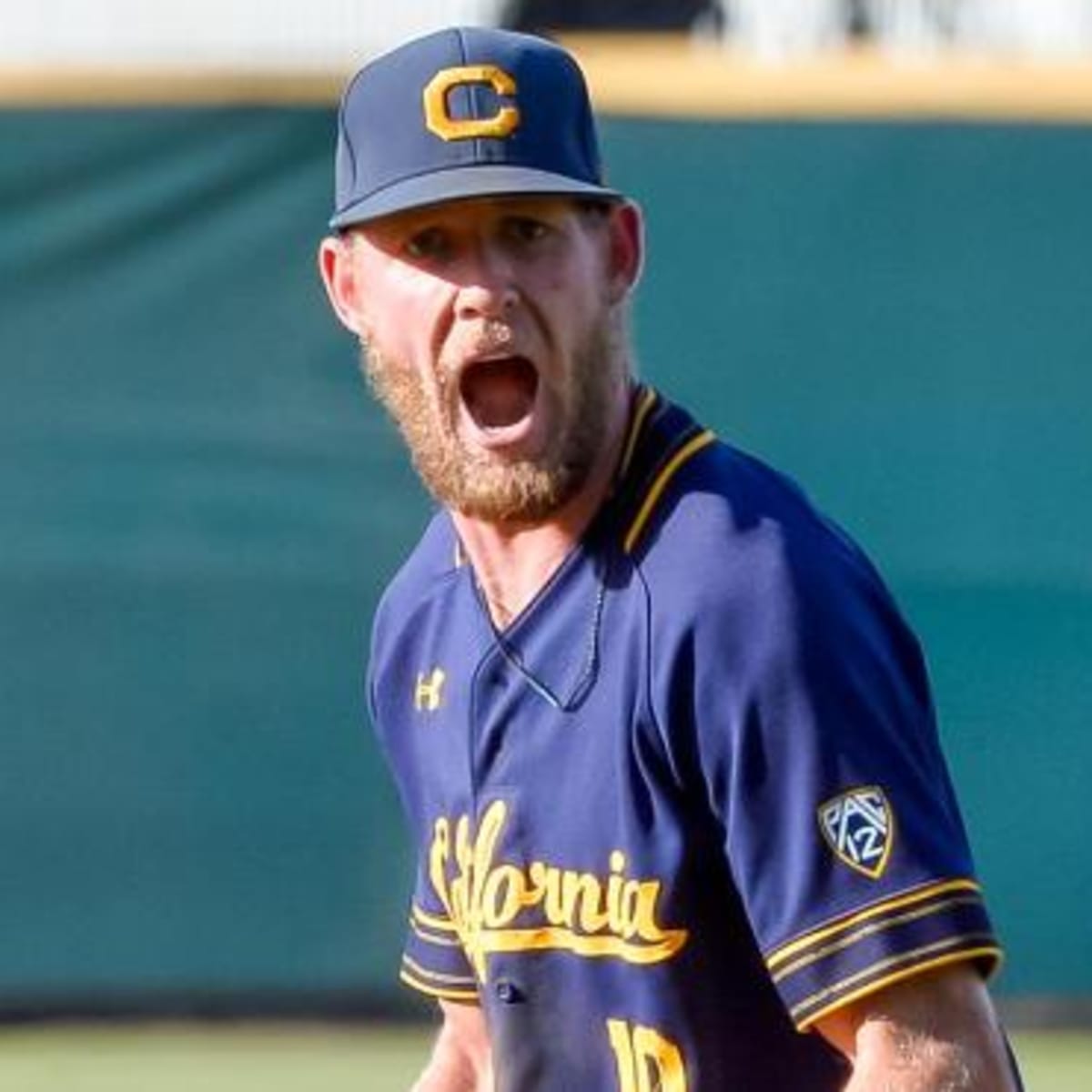 Josh White - Baseball - California Golden Bears Athletics