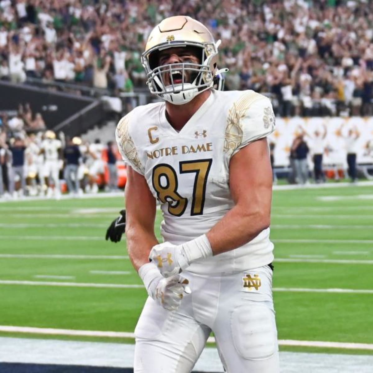 Tyler Eifert Wins Mackey Award – Notre Dame Fighting Irish – Official  Athletics Website