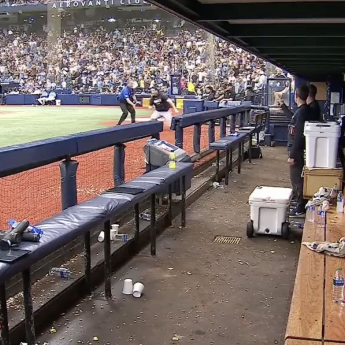 Yankees Pitcher Tommy Kahnle Destroyed Dugout Fan and MLB Fans Had Lots of  Jokes - Sports Illustrated