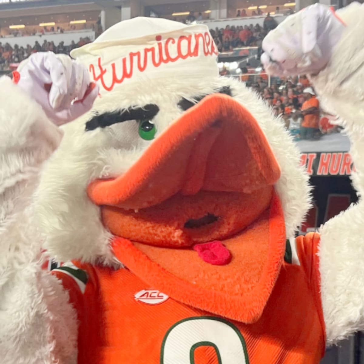 Miami Hurricanes 2025 Recruiting Tracker - All Hurricanes on Sports  Illustrated: News, Analysis, and More