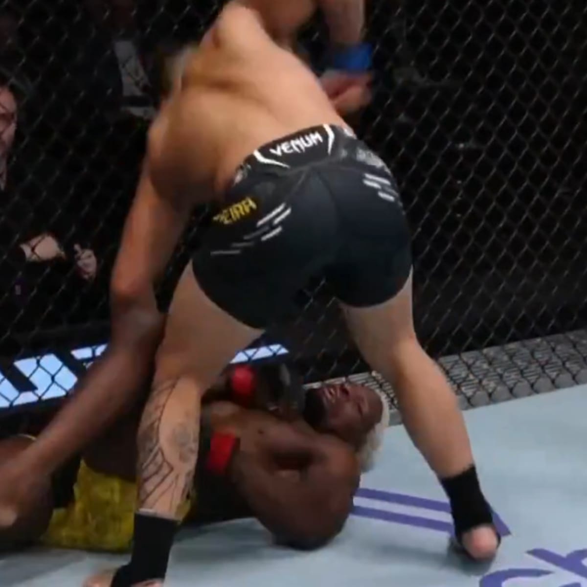 UFC VIDEO: Fighter Knocked Limp by Brutal Ground Strikes - Sports  Illustrated MMA News, Analysis and More