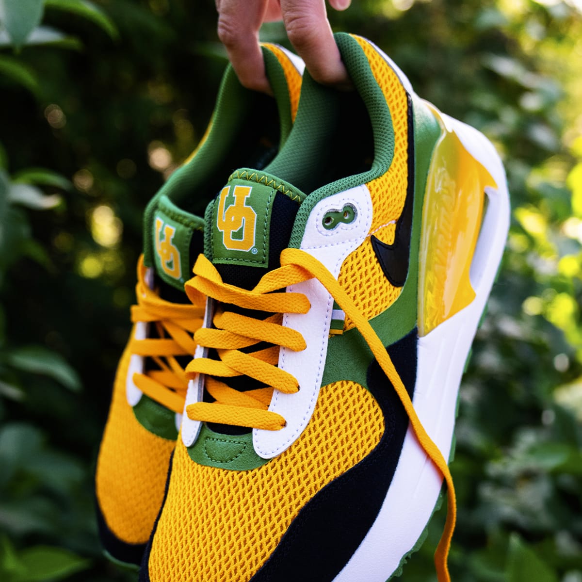 Oregon cheap ducks nikes