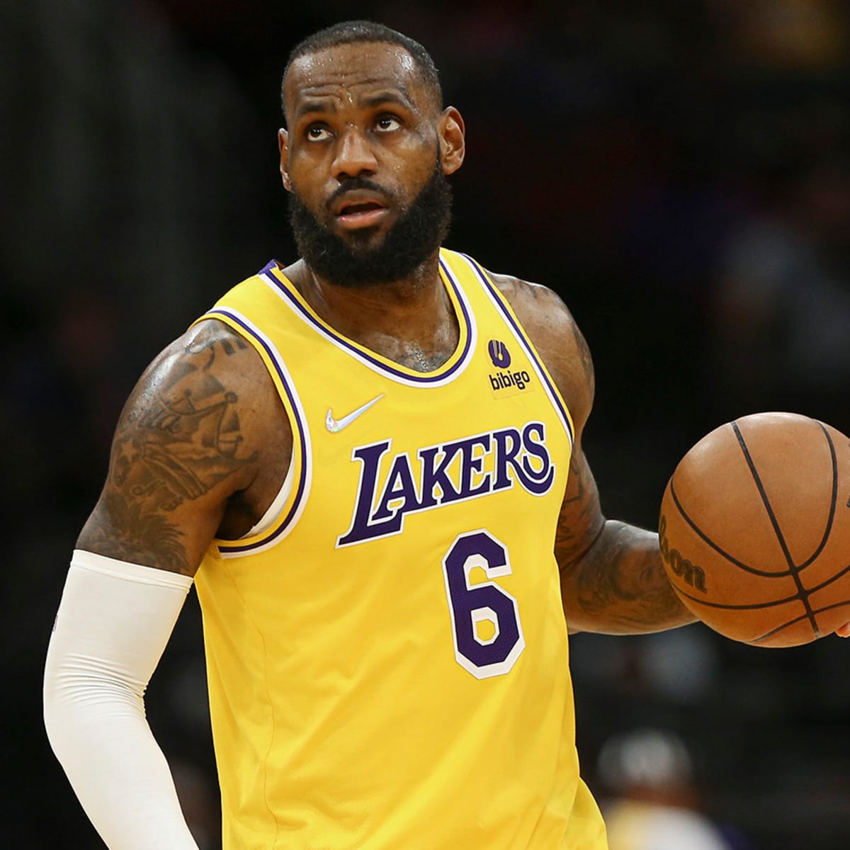 The lakers sales lebron james