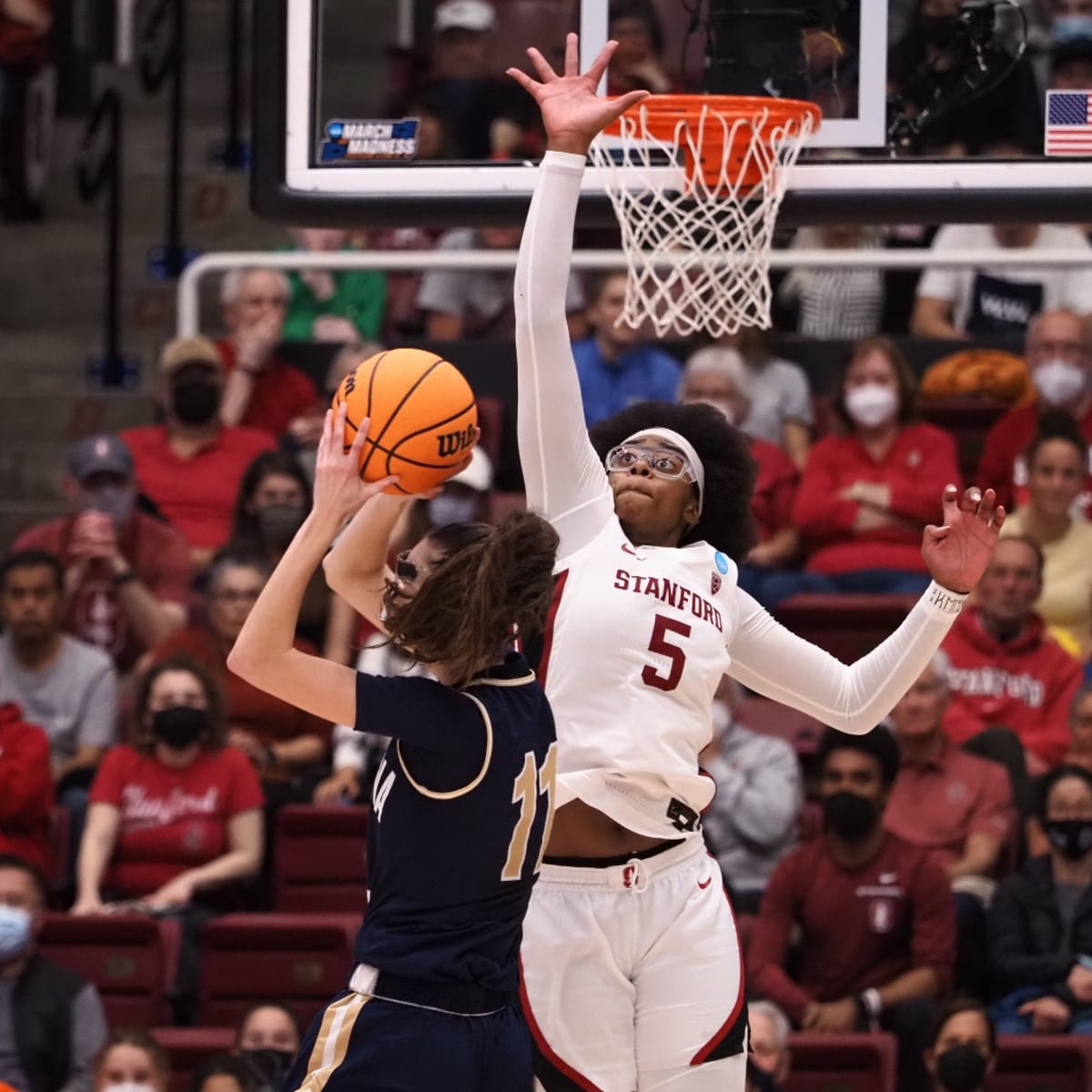 Francesca belibi sales dunk