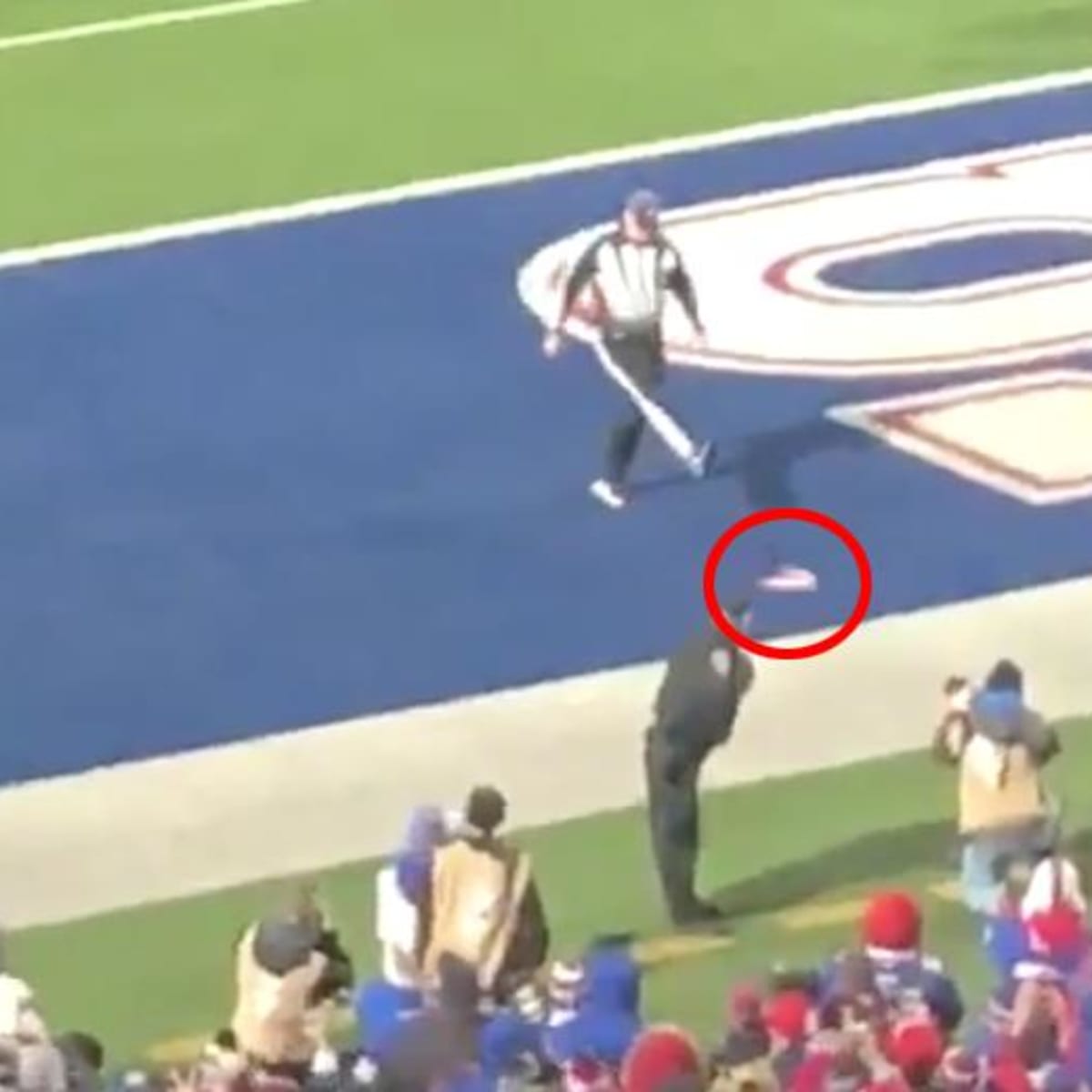 Bills fans throw three dildos on field at Patriots game video