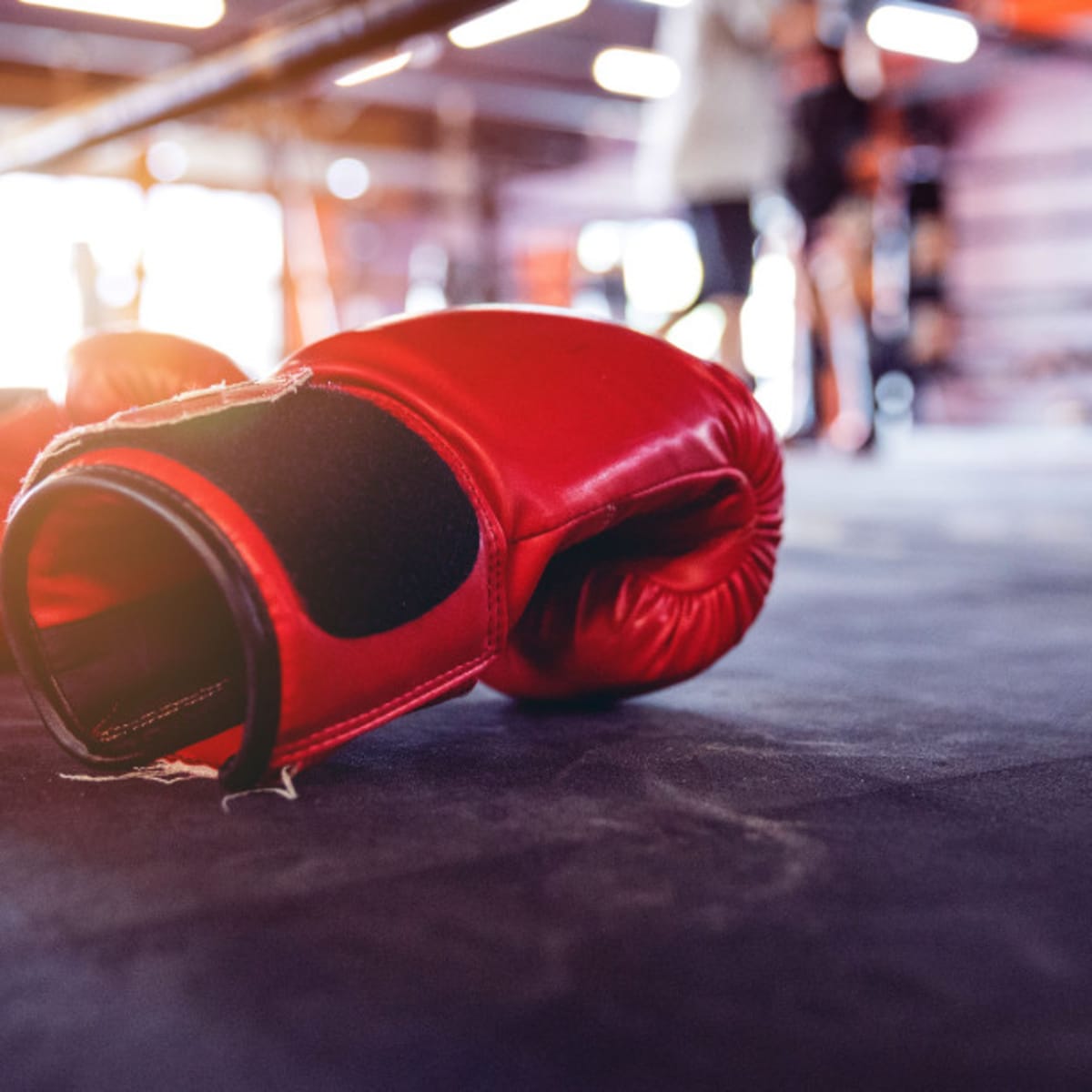 Best boxing gloves for cheap working out