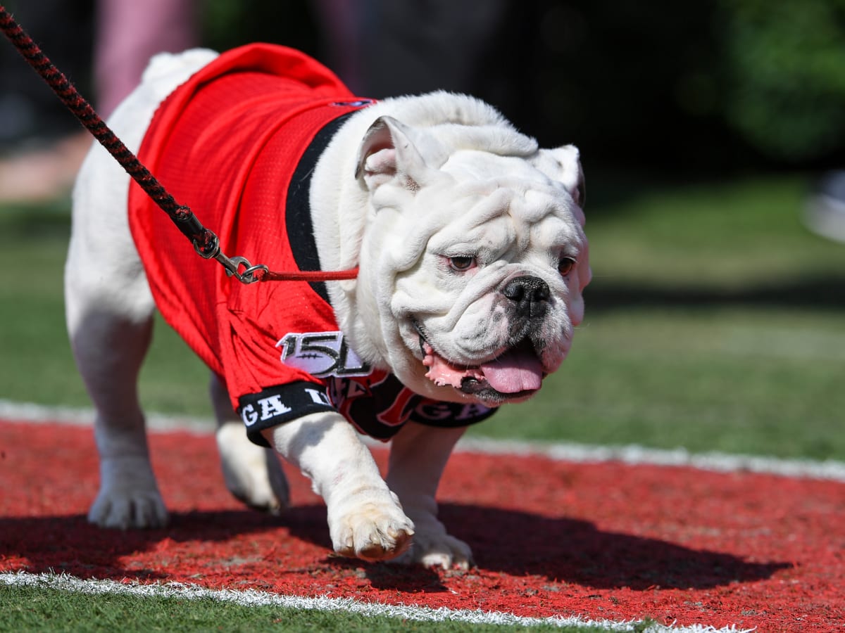 Georgia Football has Odd Theme with Atlanta Braves - Sports Illustrated Georgia  Bulldogs News, Analysis and More