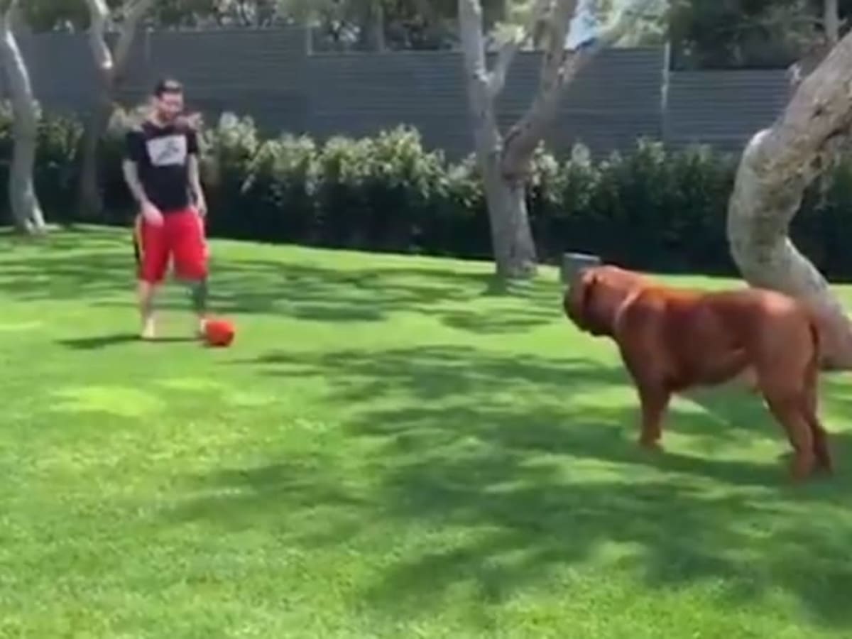 Lionel Messi's pet dog is the ruler at his home