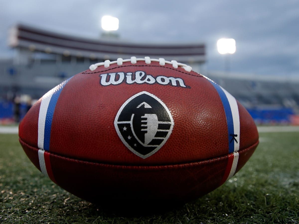 WILSON NFL Team Alliance Footballs