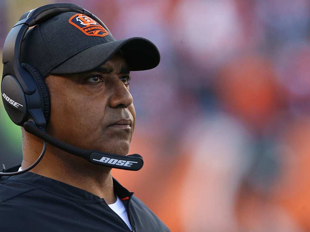 2013 Afc North Champs  Marvin lewis, Champion, Cincinnati bengals