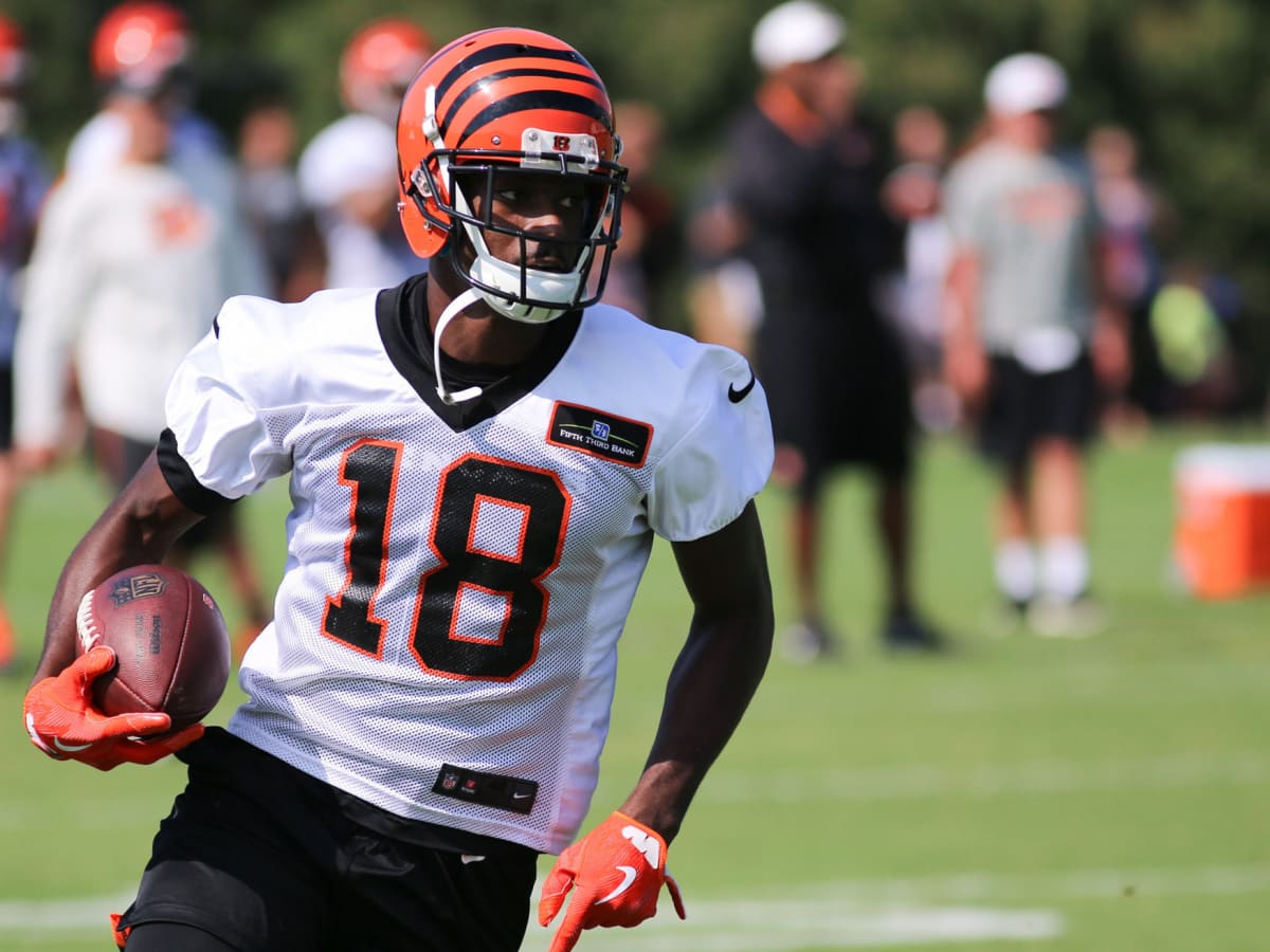 Cincinnati Bengals at Carolina Panthers: A.J. Green injured in defeat