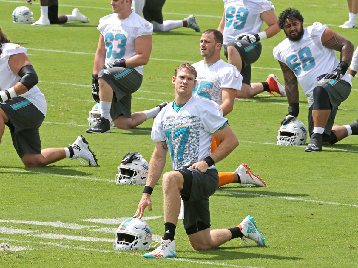 Dolphins rookies having dream come true moments as they join vets