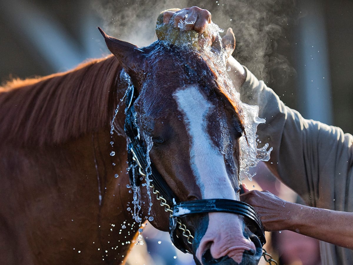 Kentucky Derby 2018 Online Betting