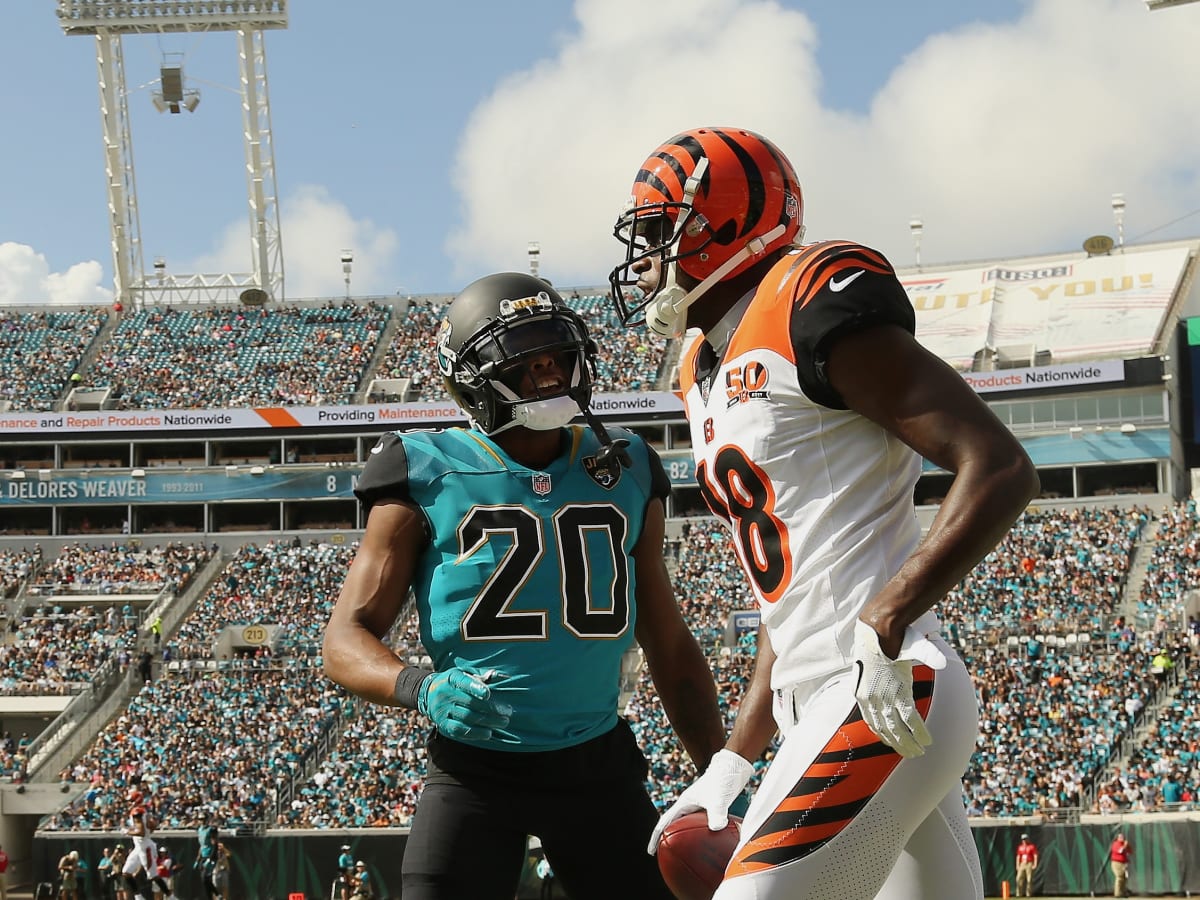 A.J. Green Leads Bengals In Jersey Sales For 2014