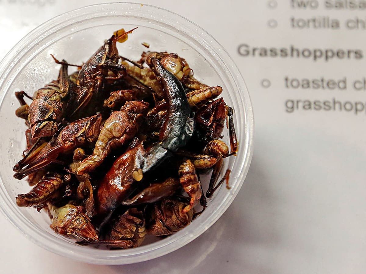 Rhein Haus Launches Grasshopper-Topped Bratwurst to Welcome Seattle Mariners  to Denver