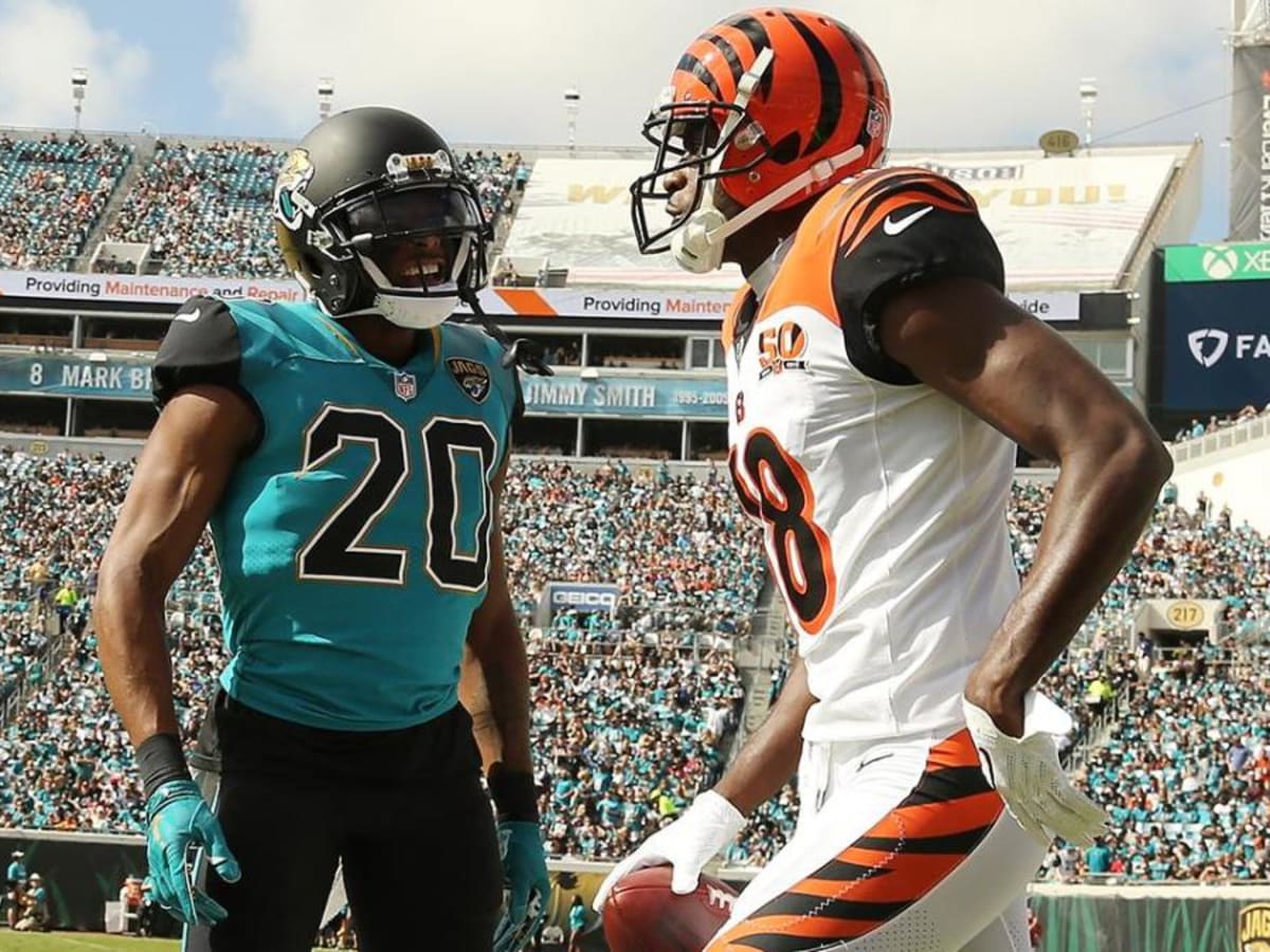 Cincinnati Bengals at Carolina Panthers: A.J. Green injured in defeat