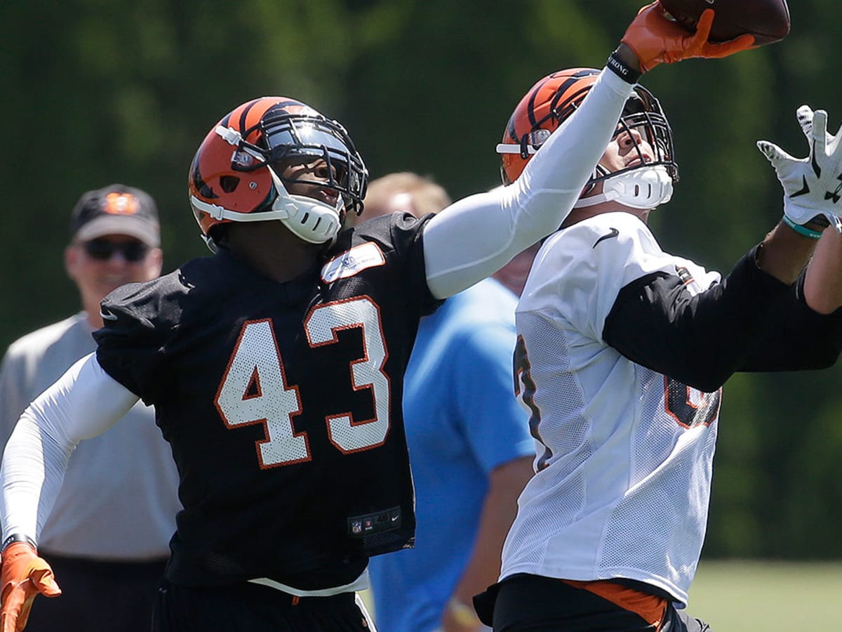 Bengals training camp: Marvin Lewis, playoff exits in spotlight - Sports  Illustrated