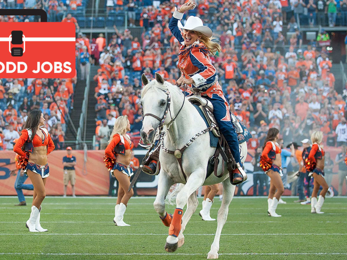 Denver Broncos Cheerleaders 'Shake Their Pom-Poms' For Game Day