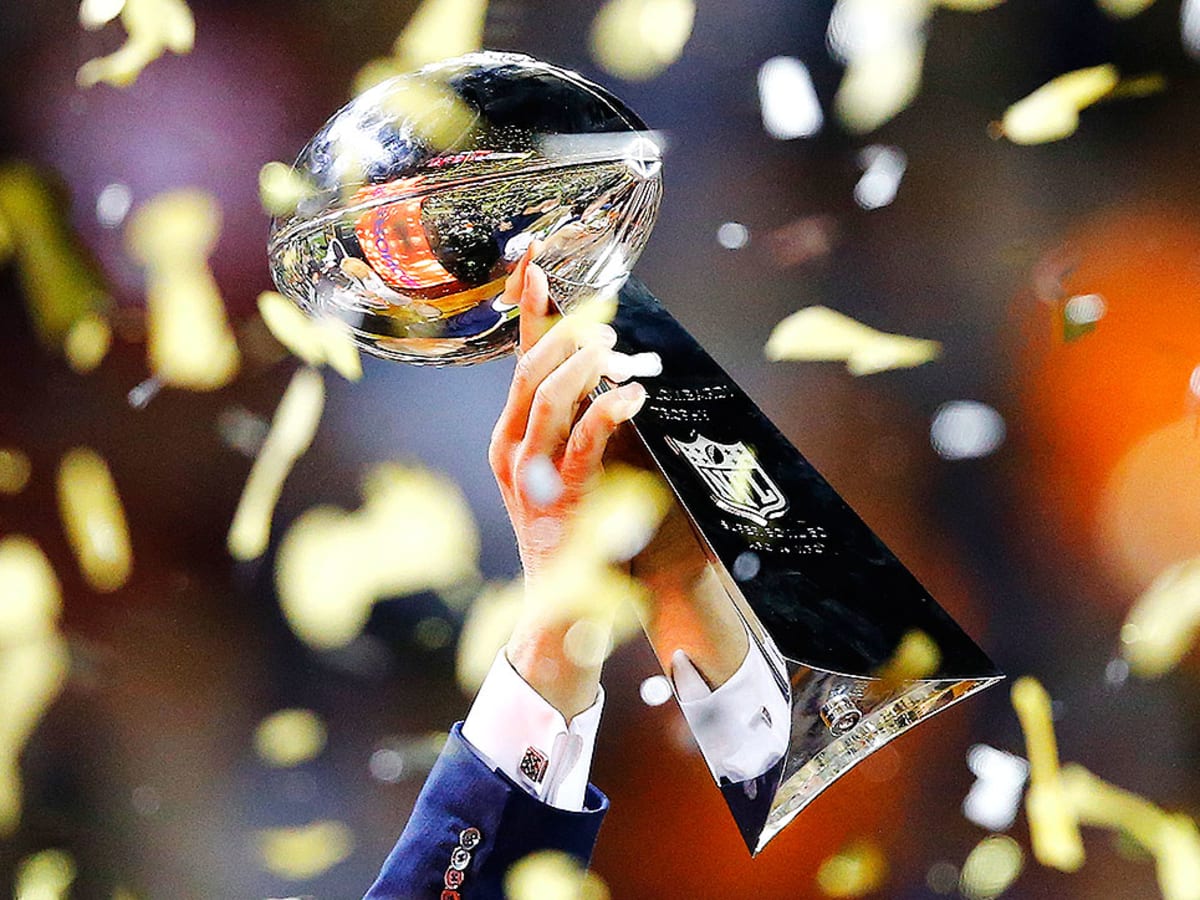 NFL predictions: 2016 playoff picks, award winners - Sports