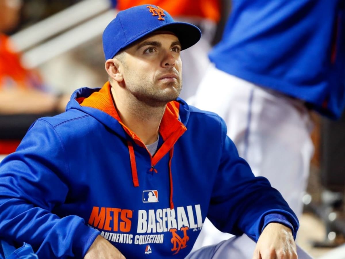 Meet David Wright, the Real Mr. Met - The New York Times