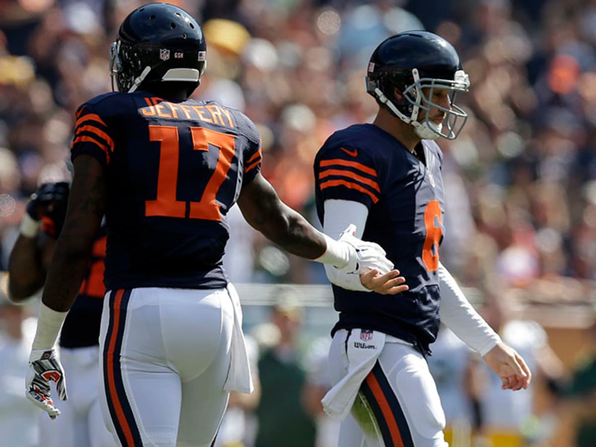 03 JUNE 2015: Chicago Bears wide receiver Alshon Jeffery (17) in