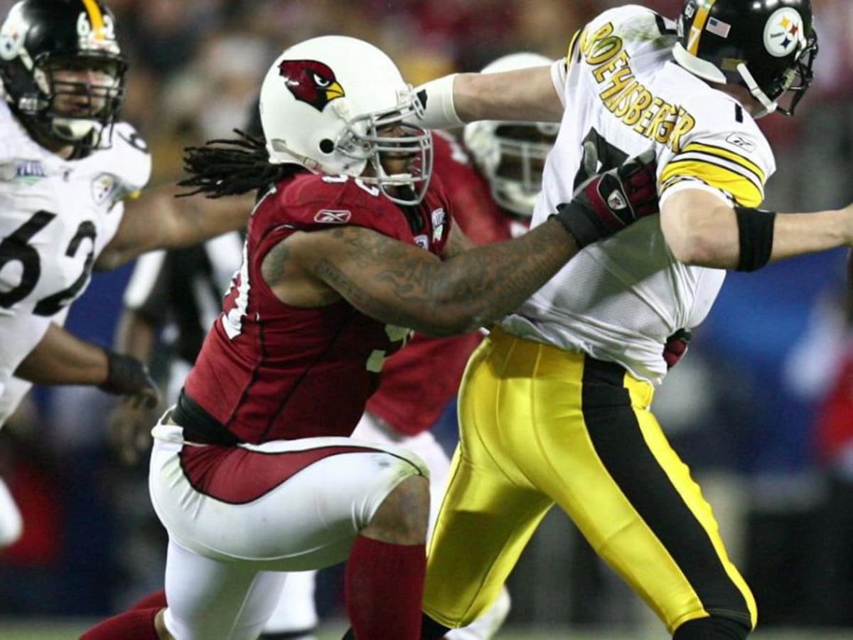 Arizona Cardinals release Darnell Dockett - Sports Illustrated