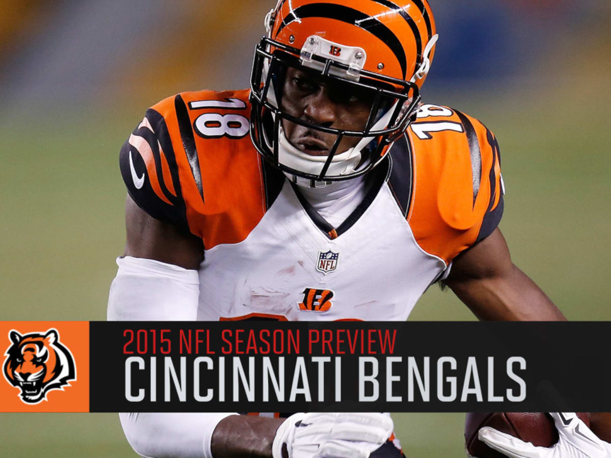 Cincinnati Bengals Preseason Preview