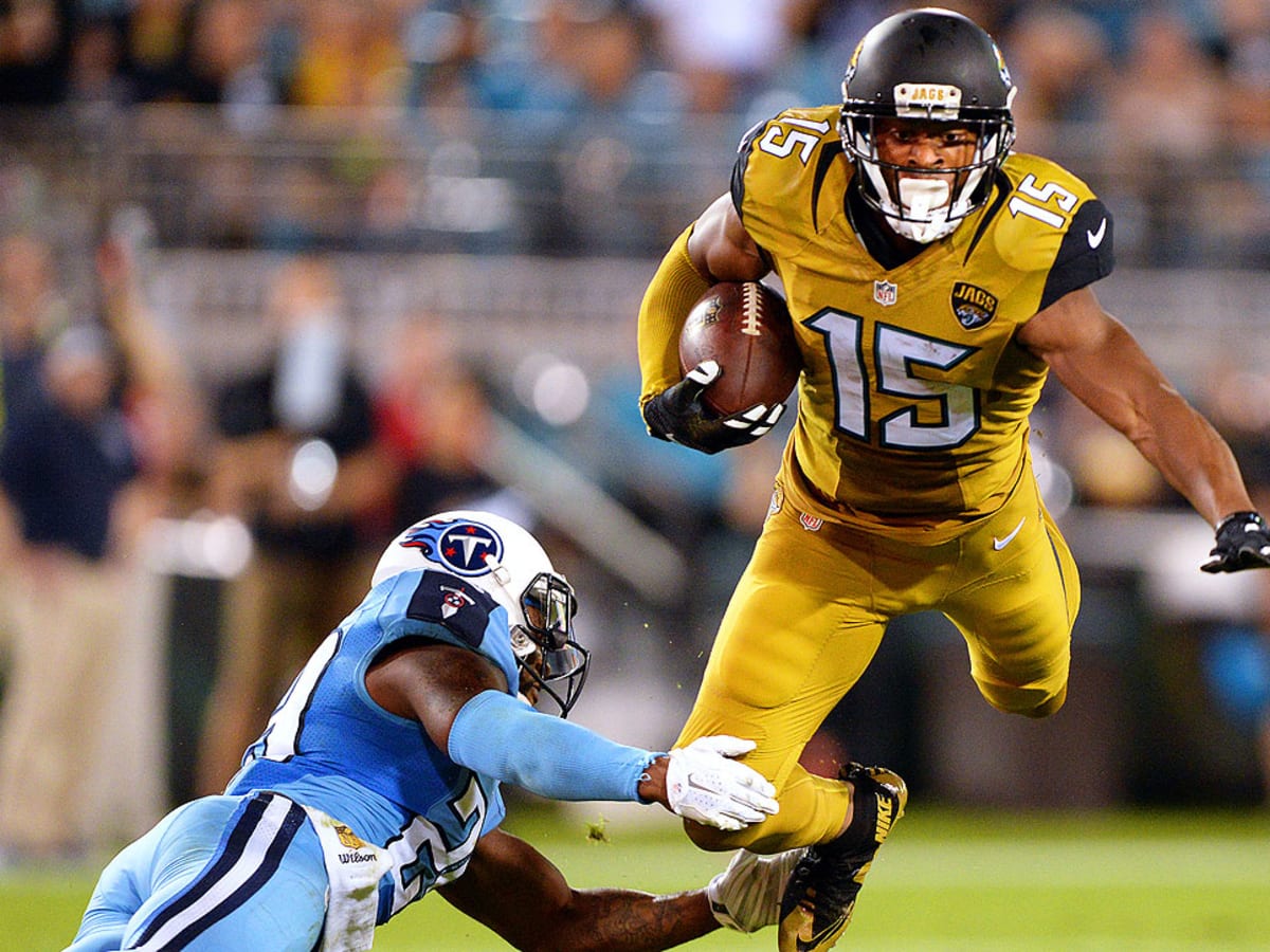 Jacksonville Jaguars: A Look at No. 15 Allen Robinson