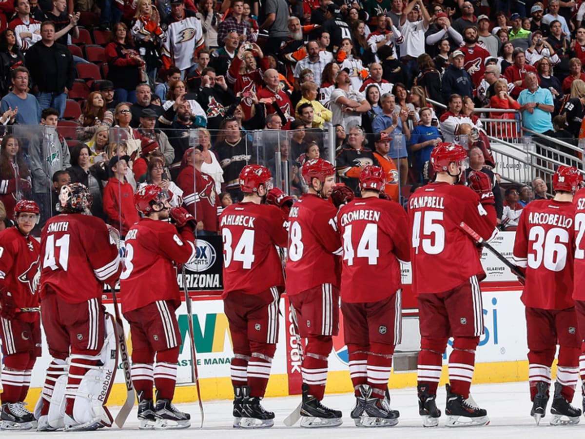 Arizona Coyotes 'disappointed' by Glendale arena decision