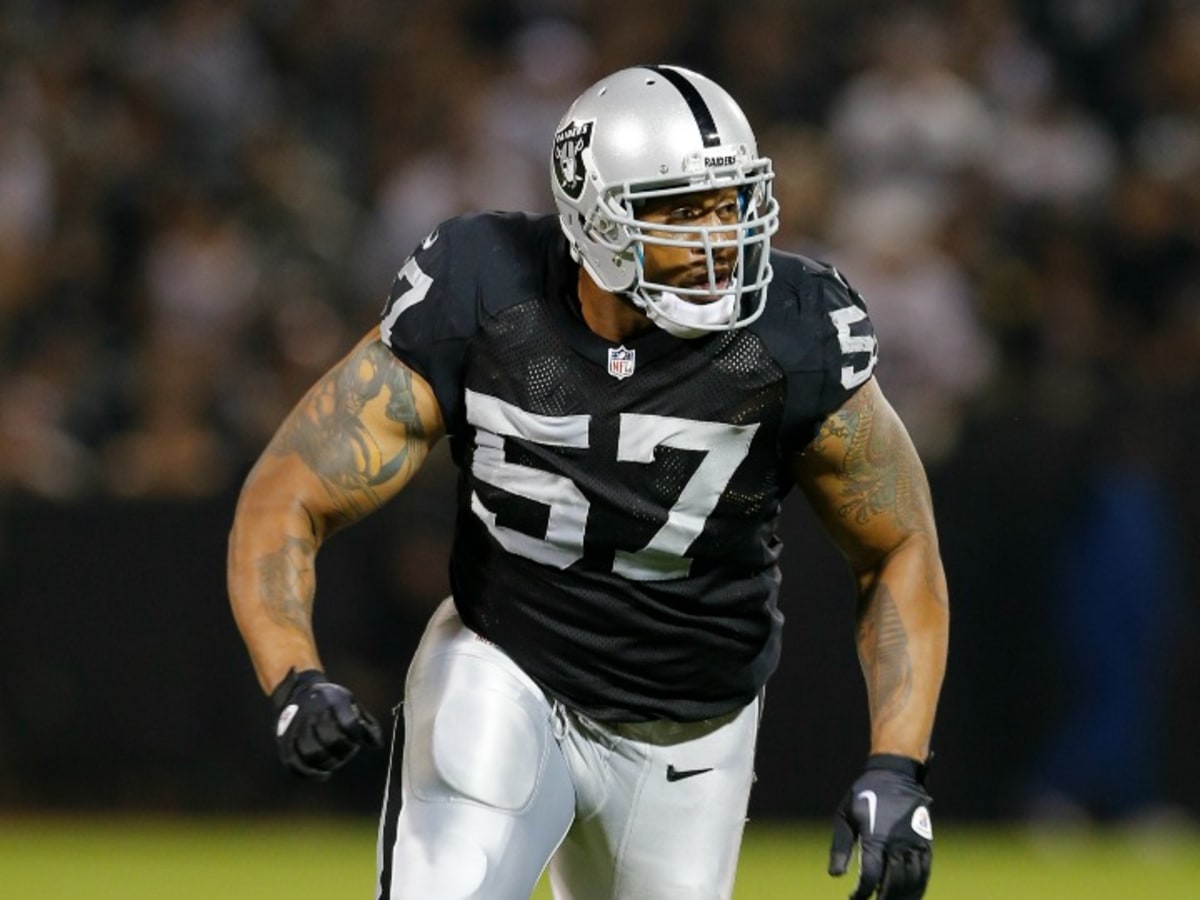 LaMarr Woodley NFL Jerseys for sale