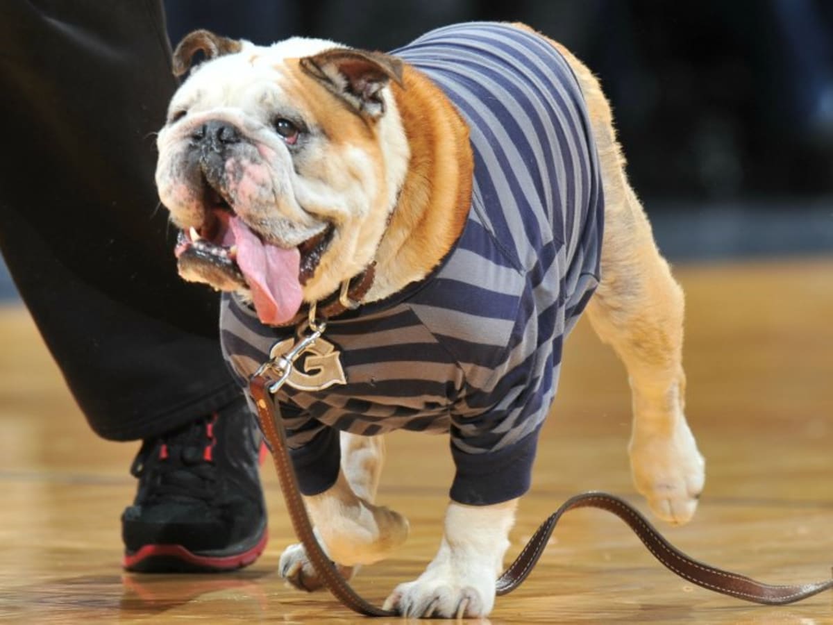 how many college basketball teams have a bulldog mascot