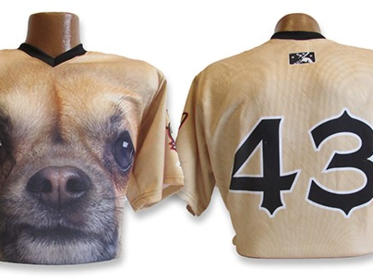 Chihuahuas Go Padres Retro Brown and Yellow