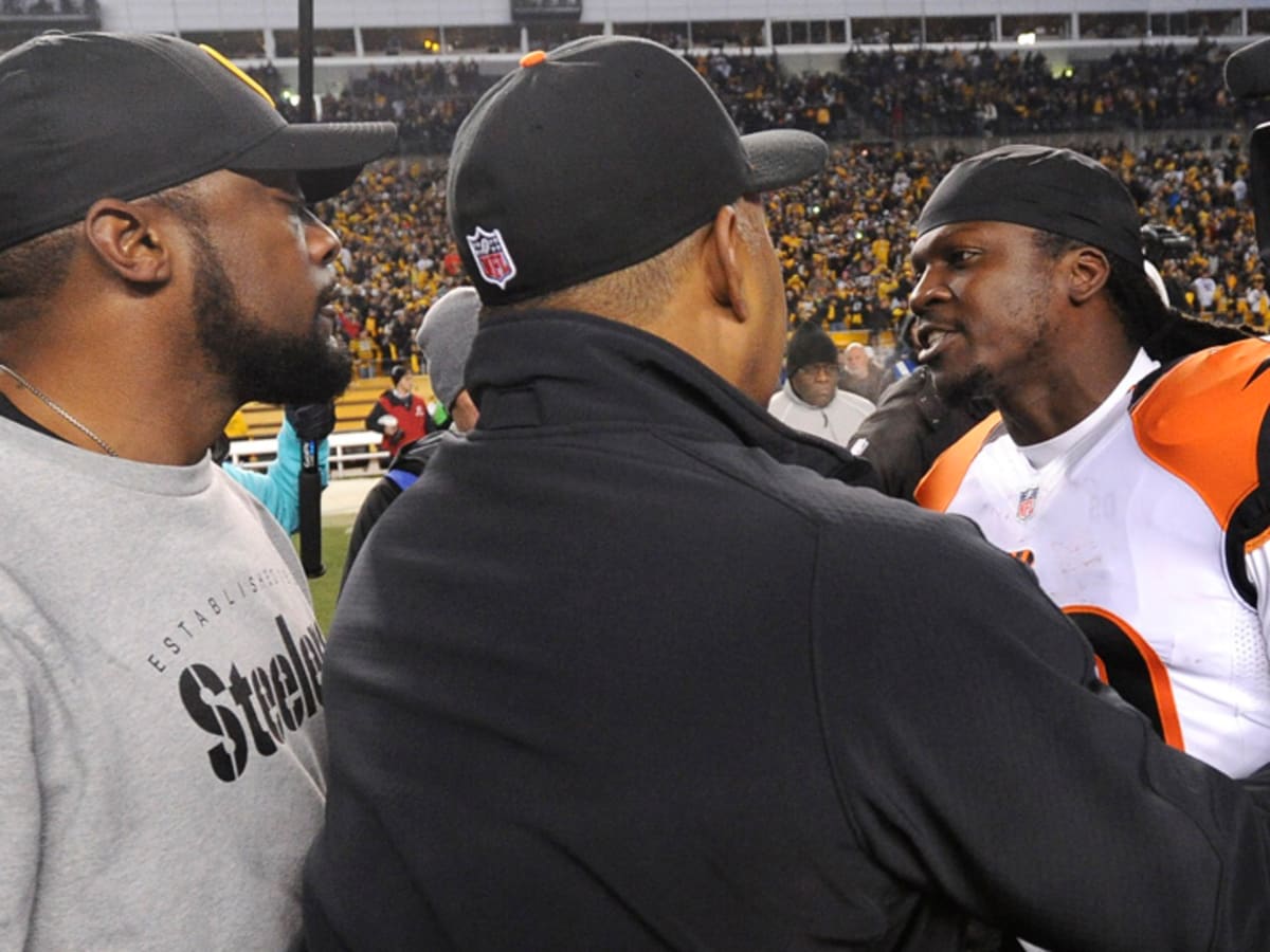 Bengals vs Steelers: Reggie Nelson injures ankle in playoff game - Sports  Illustrated