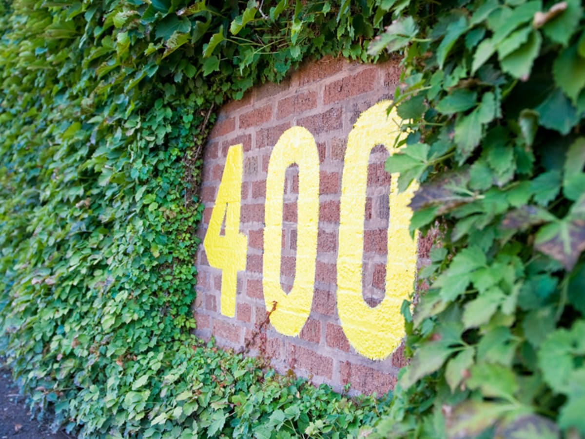 Historic Wrigley Field Delights Chicago Cubs Fans with New Plant