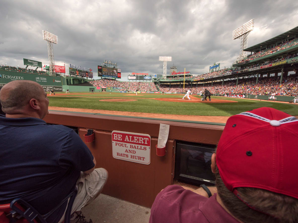 Rays to extend protective netting