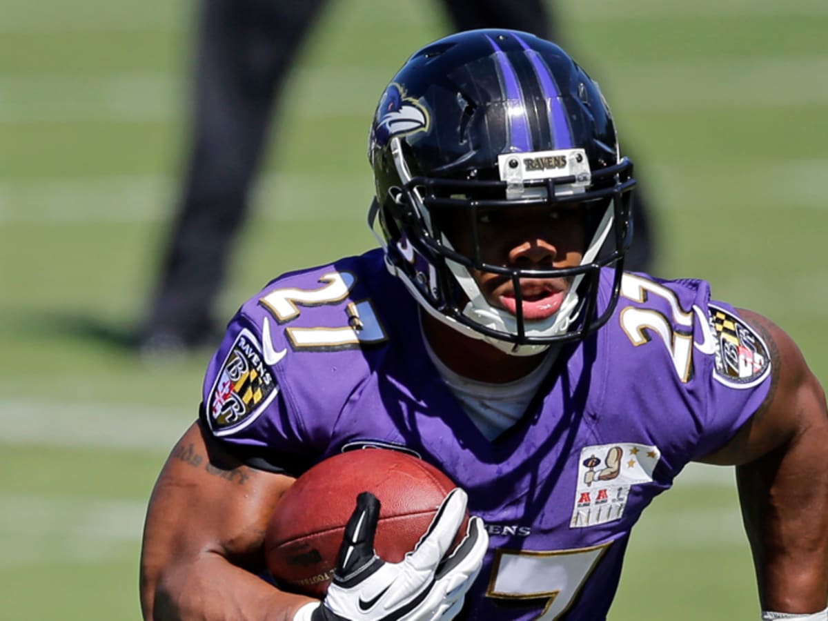 PHOTO: Ray Rice has group of fans at Ravens-Steelers game 