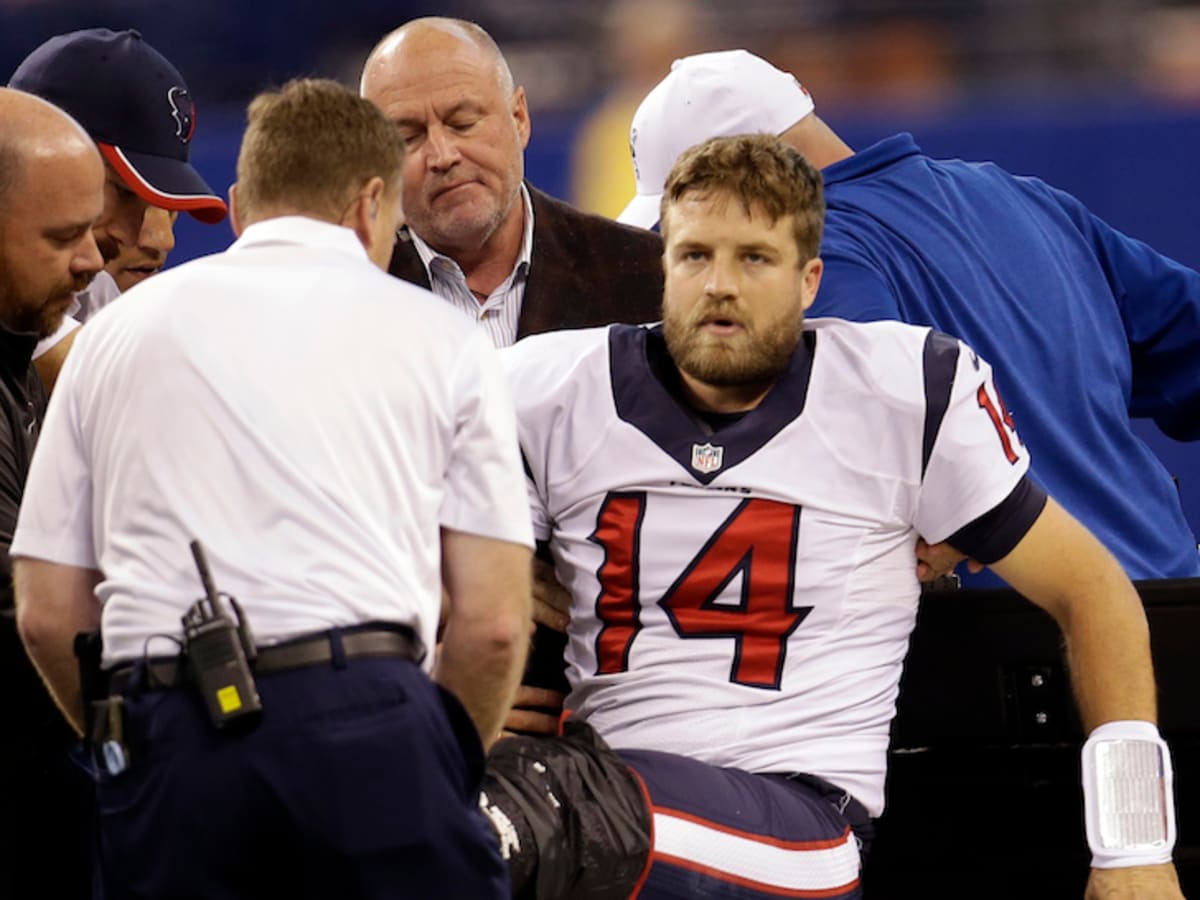 2014 Houston Texans Free Agent Tracker: Houston Texans Sign Ryan Fitzpatrick  - Battle Red Blog