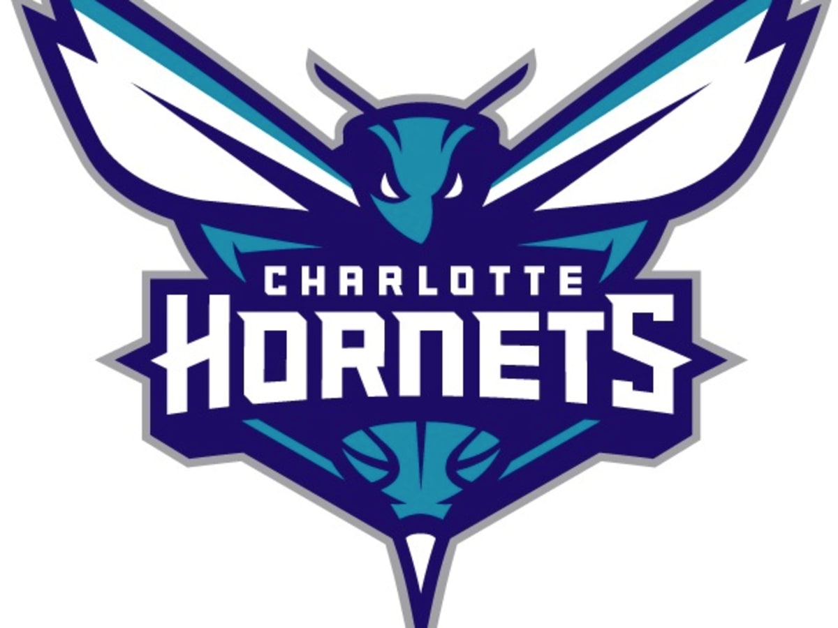 The winning entry in 99designs.com's Charlotte Hornets logo design contest.  (Eren G./99designs.com)