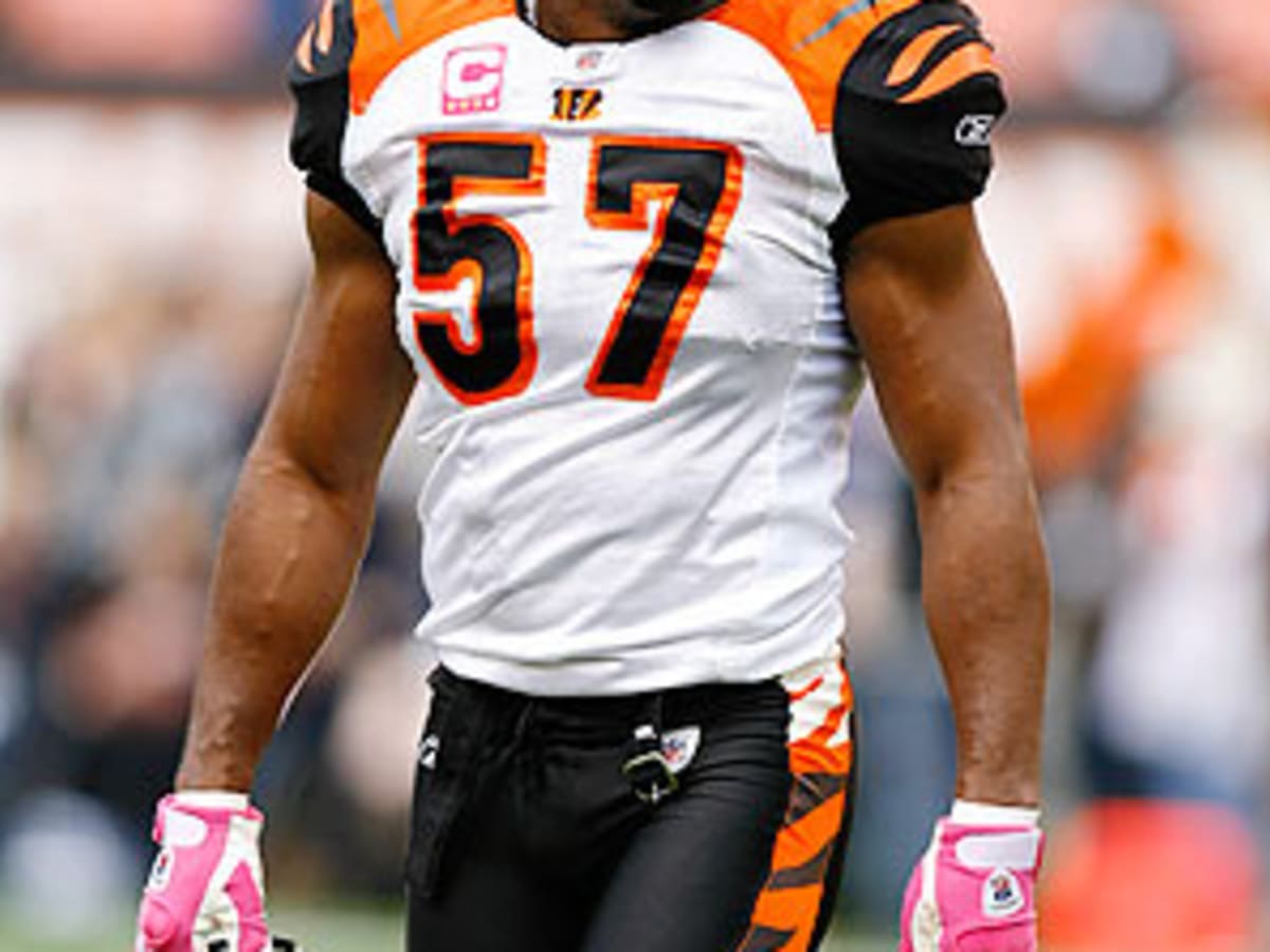 NFL News: Are Bengals Primed To End 32 Year Playoff Win Drought?