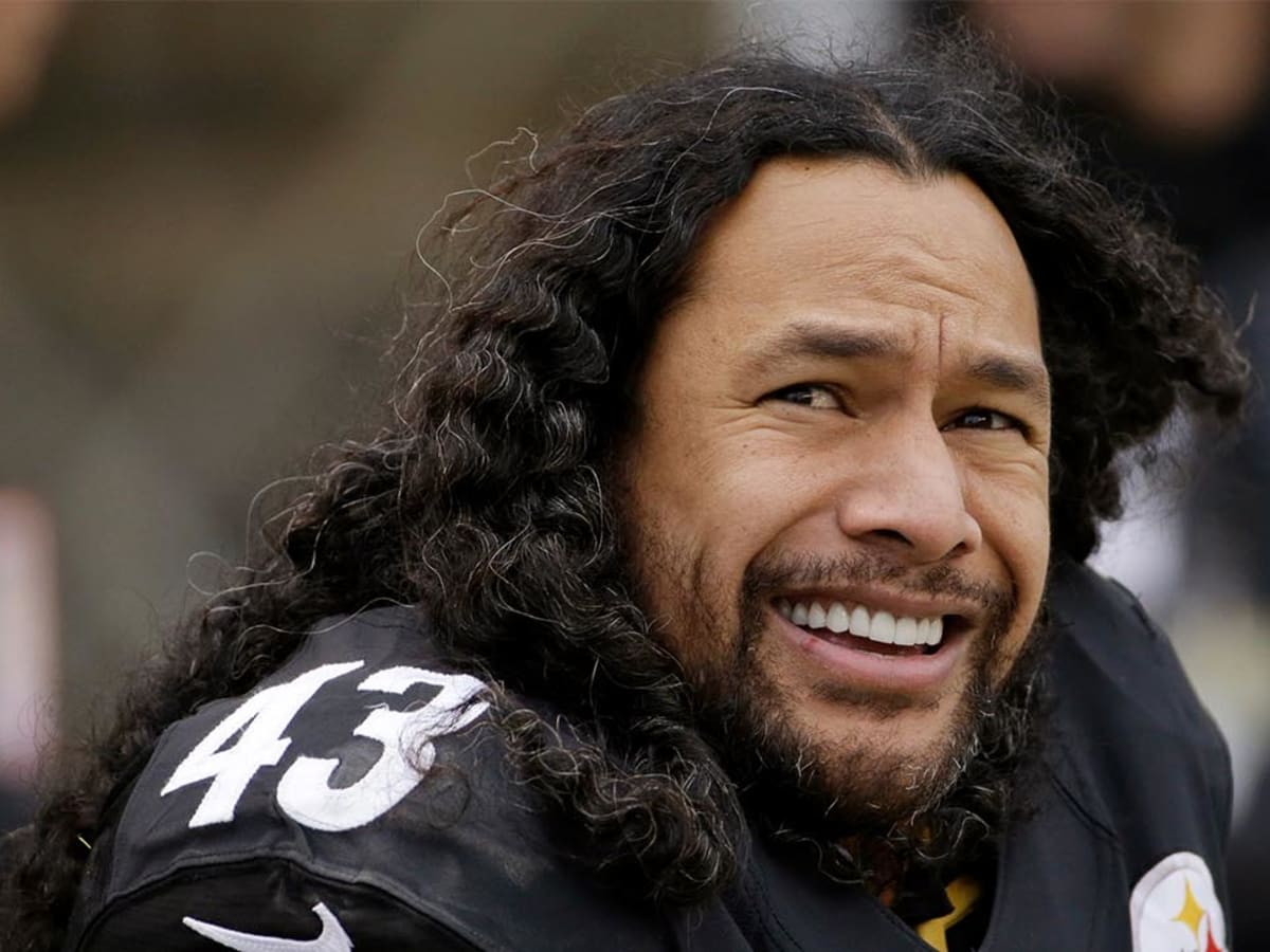 Troy Polamalu and Alan Faneca finalists, 2020 NFL Hall of Fame