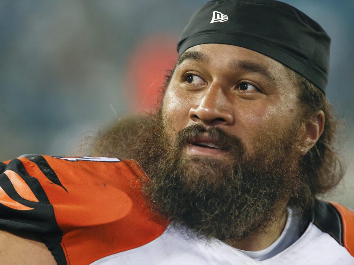 Cincinnati Bengals interested in reuniting with Domata Peko - Sports  Illustrated Cincinnati Bengals News, Analysis and More