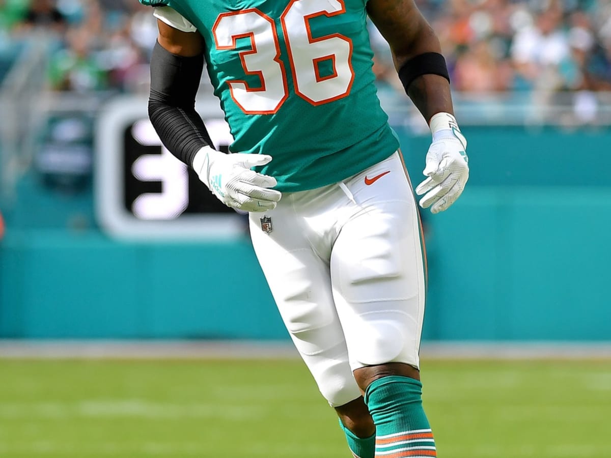 Number 86 and Who Wore It Best for the Dolphins - Sports