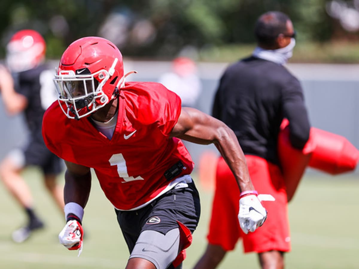 UGA Football: George Pickens With the Catch of the Year Already! – Field  Street Forum